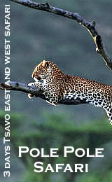 3 Days Tsavo East and Tsavo West Safari - Pole Pole Safari